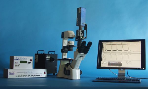 Myocyte Calcium and Contractility System