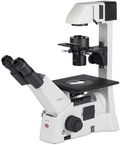 Motic AE31 inverted microscope