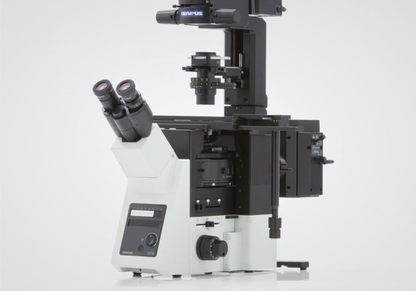 Olympus IX73 Microscope