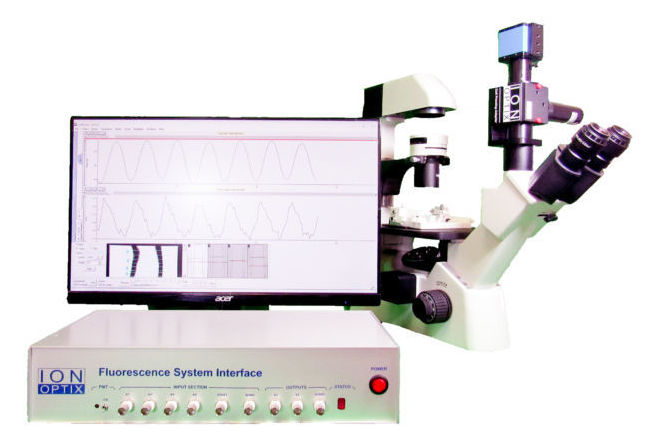 Vessel Calcium, Diameter and Flow System